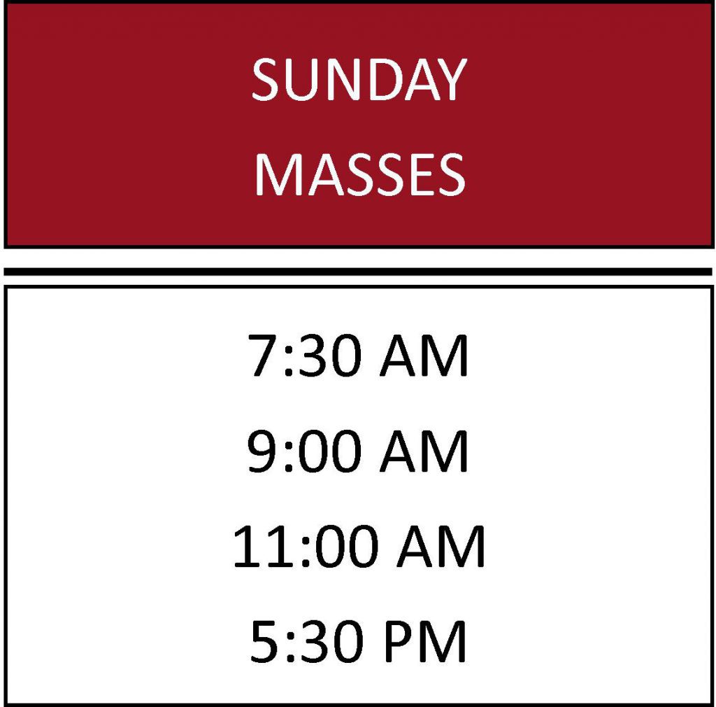 Mass Schedule St. Timothy Catholic Church Lutz, FL