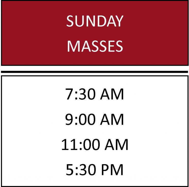 Mass Schedule St. Timothy Catholic Church Lutz, FL